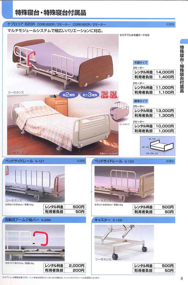 ���p�i�J�^���O